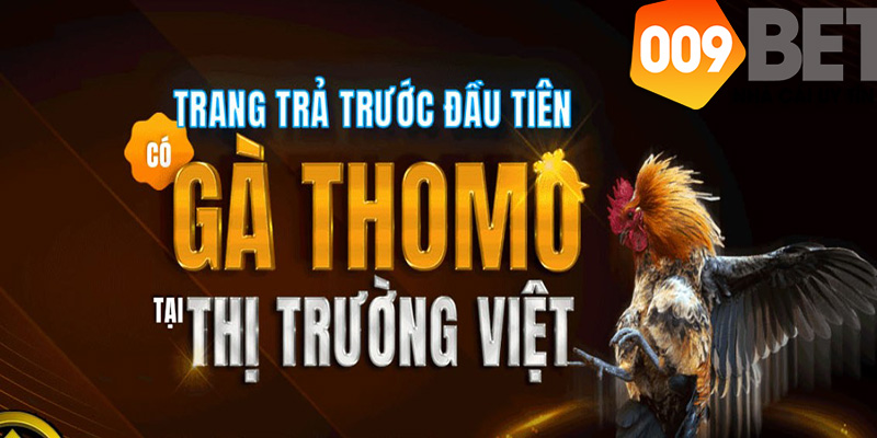 Nhà Cái Khác 009bet - 5 Nhà Cái Hấp Dẫn Người Chơi Nhất Châu Á